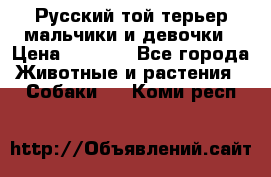 Русский той-терьер мальчики и девочки › Цена ­ 8 000 - Все города Животные и растения » Собаки   . Коми респ.